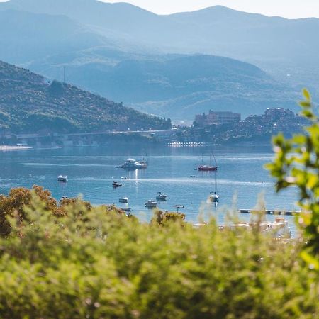Boutique Hotel Vissi D'Arte بودفا المظهر الخارجي الصورة